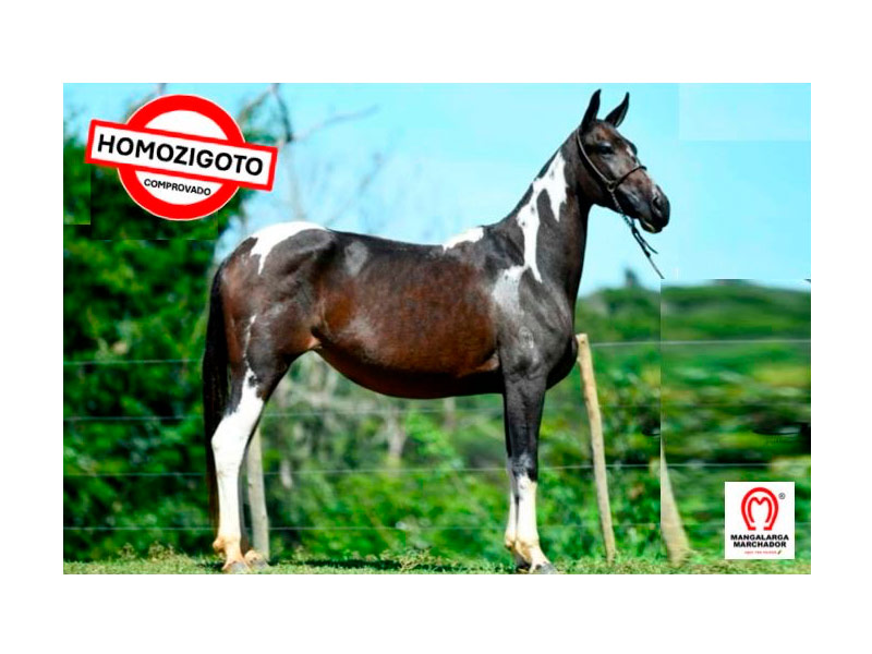 Oferenda do Nilo