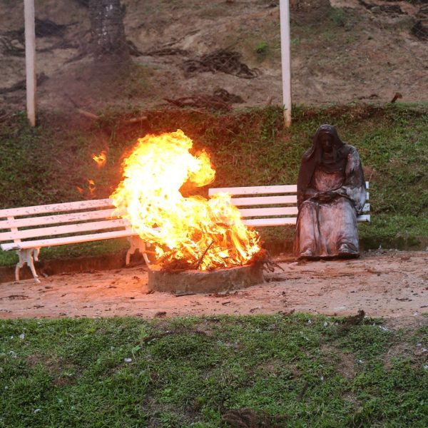 WhatsApp Image 2026-02-09 at 13.02.58