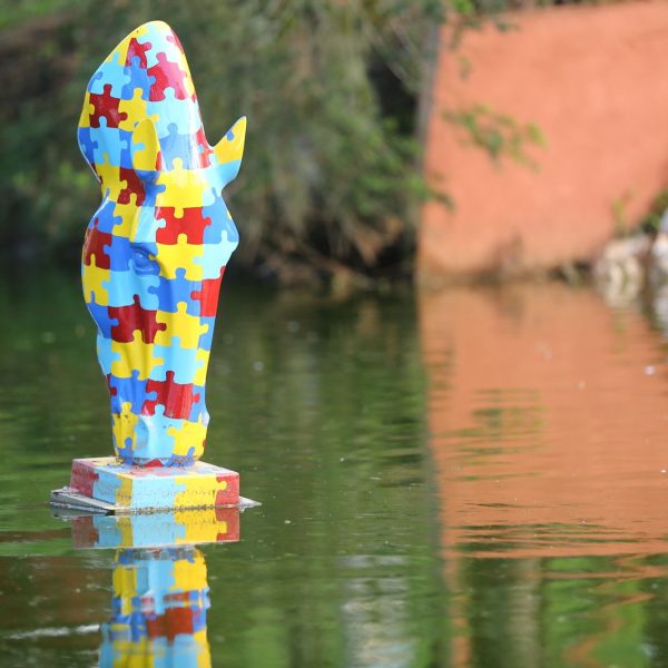 WhatsApp Image 2026-02-09 at 13.02.59