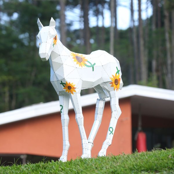 WhatsApp Image 2026-02-09 at 13.03.00